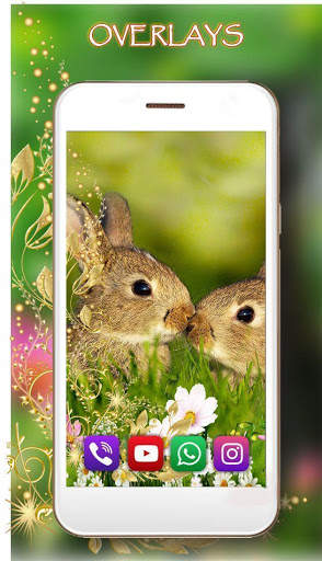 Bunnies Live Wallpaper screenshot 2