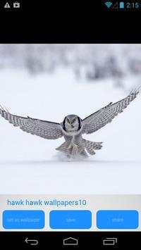 Hawk Bird of Prey HD Wallpaper screenshot 3