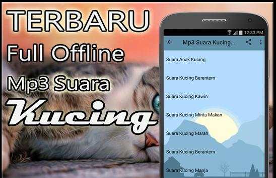 Suara Kucing Mp3 Offline screenshot 3
