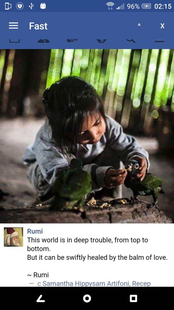 FLF - Fast Lite for Facebook screenshot 2