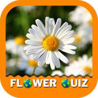 Flower Quiz Game 2020 logo