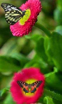 Gesture Lock screen and app lock theme butterfly screenshot 3