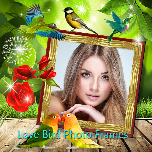 Love Bird Photo Frames icon
