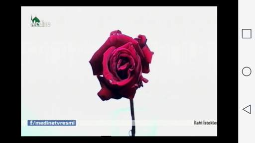 MEDİNE TV screenshot 2