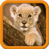 Animal Sounds icon