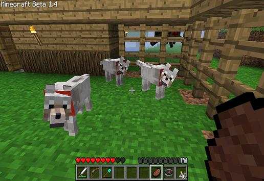 Pocket Pet Mod For Minecraft screenshot 2