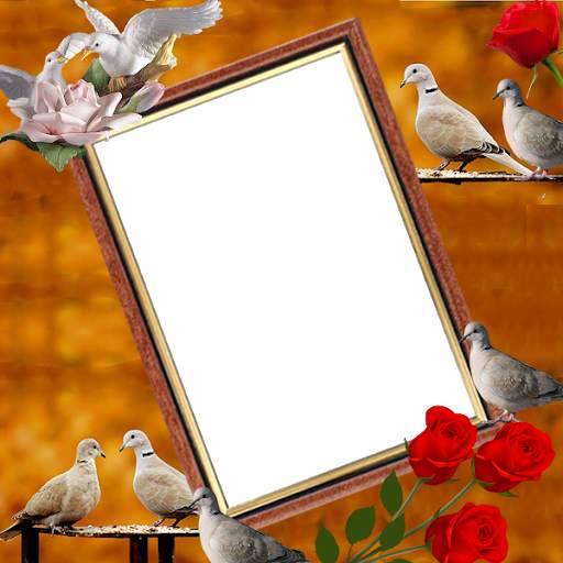 Dove Insta DP 2 تصوير الشاشة