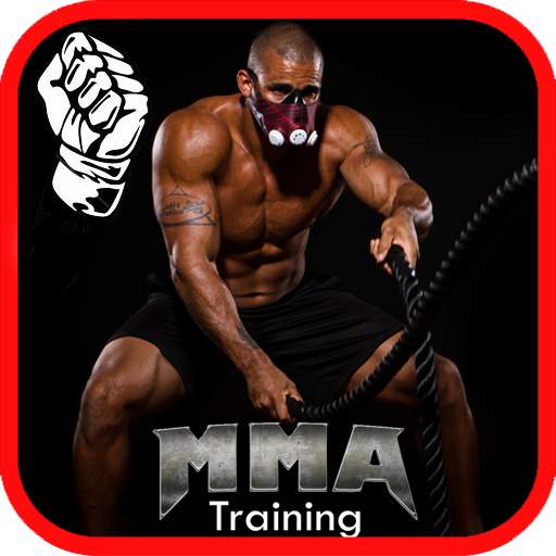 MMA Training and Fitness 2.0