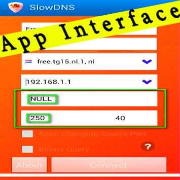 Guide for VPN Over DNS Tunnel : SlowDNS screenshot 18