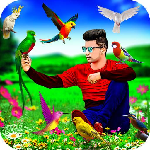 Bird Photo Editor 1.1