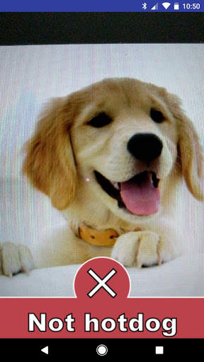 Not hot dog! screenshot 3