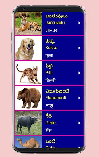 Learn Telugu From Hindi screenshot 5