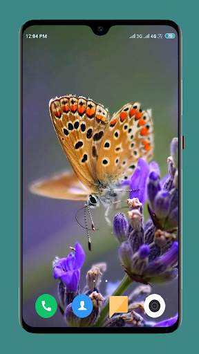 Butterfly Wallpaper 4K screenshot 9