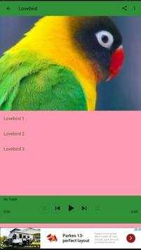 Offline Chirping Master screenshot 2