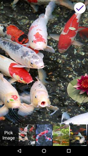 Koi Fish Lock Screen for Huawei screenshot 5