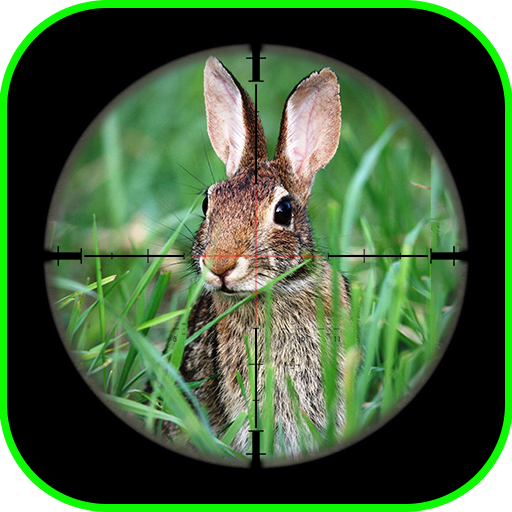 Rabbit Sniper Hunting : Shooti icon
