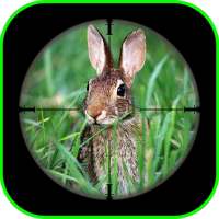 Rabbit Sniper Hunting : Shooti