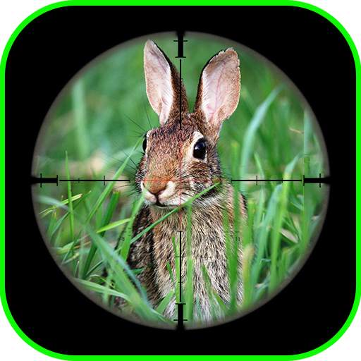 Rabbit Sniper Hunting : Shooti 1.1