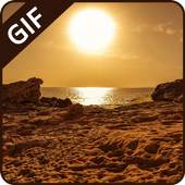 Good Afternoon Gif Colection 1.0