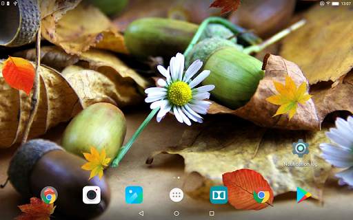 Winter and Autumn Flowers Live Wallpaper screenshot 10