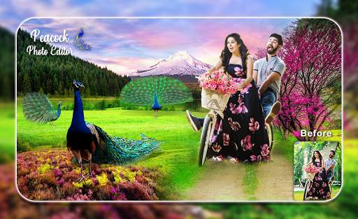 Peacock Photo Editor 2021 screenshot 1