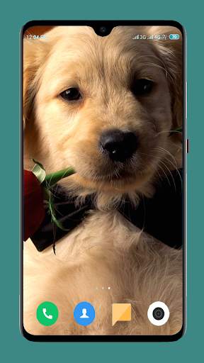 Dog Wallpaper 4K screenshot 14