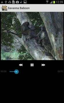 Mammals of SA Lite screenshot 7