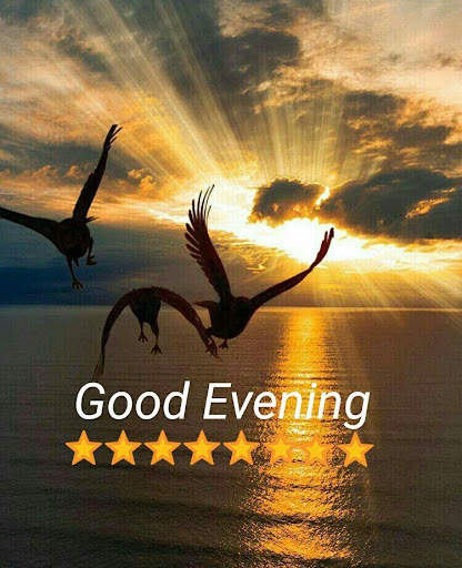 Good Night And Good Evening screenshot 1