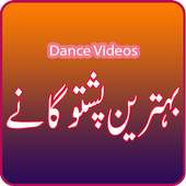 Best of Pashto Wedding Songs on 9Apps