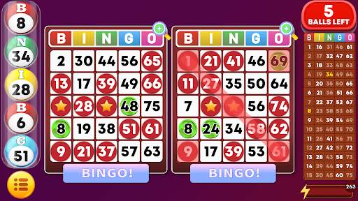 Bingo - Offline Bingo Games screenshot 1