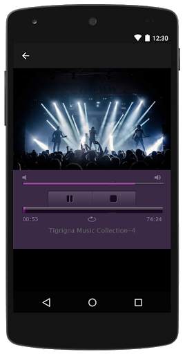Tigrigna Music, Free Collection Of Eritrean Music screenshot 2