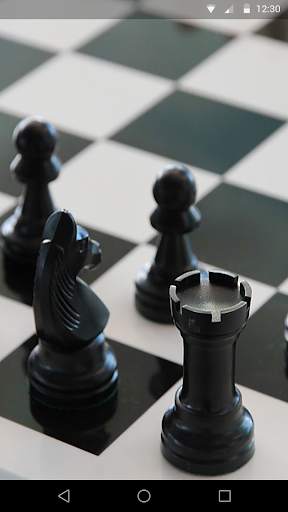 Chess Live Wallpaper screenshot 3