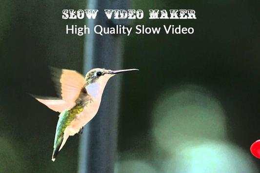 Slow Video Maker screenshot 2