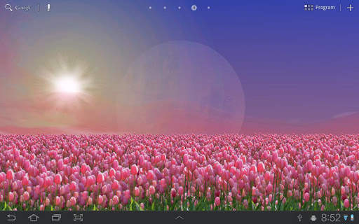 Tulip Field Free LWP screenshot 2