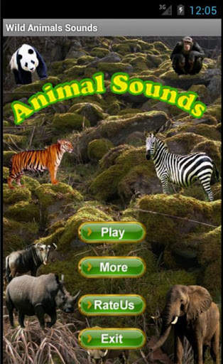 Wild Animals Sounds screenshot 1
