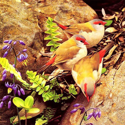 Birds Jigsaw Puzzles स्क्रीनशॉट 1