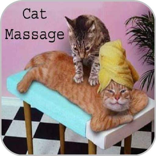 Funny Pictures 2.3
