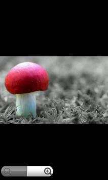 Magic Canvas 4 تصوير الشاشة