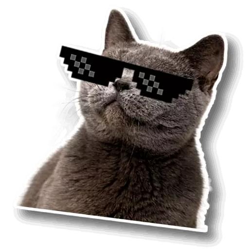 WAStickerApps Cat memes icon