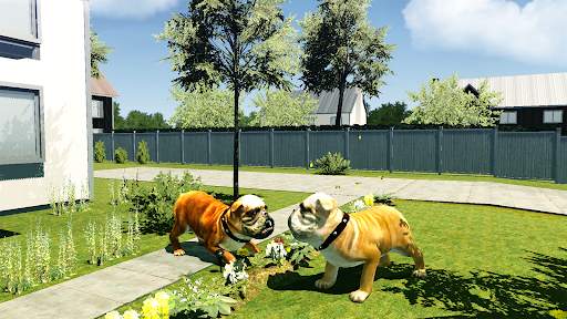 Bull Dog Simulator screenshot 12