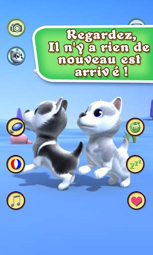Parler chien Husky screenshot 5