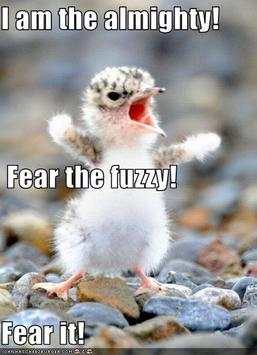 Funny Caption Pictures screenshot 1