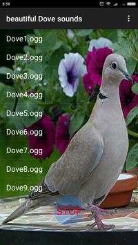 Beautiful Dove Sounds скриншот 1