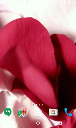 Petals 4K Video Live Wallpaper screenshot 3