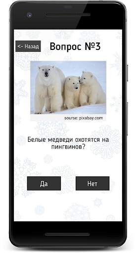 Викторина: Да или Нет. Вопросы ответы и объяснения скриншот 1