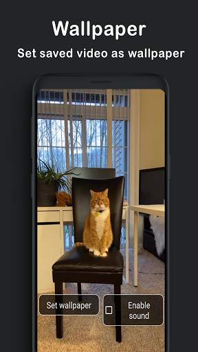 PET MEOMEO - Funny cat, dog viral videos screenshot 5
