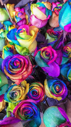 I Love Flowers Live Wallpapers, Free Rose Images screenshot 16