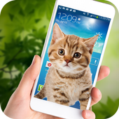 Cat on Mobile Screen icon