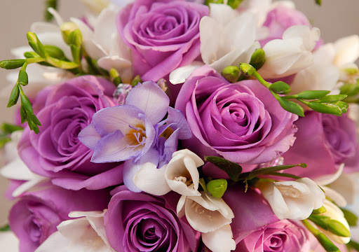 Flowers Wallpapers HD 2021 screenshot 7