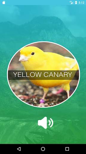 Birds Sounds App स्क्रीनशॉट 2